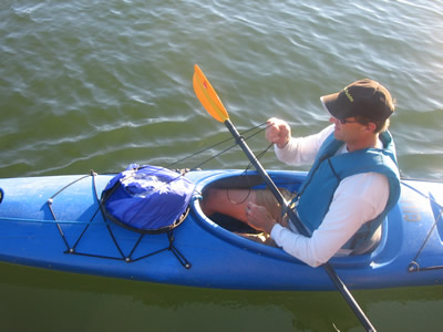 Windpaddle image